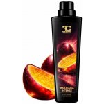 Dedra L’AVIVAGE MARACUJA Avivážní kondicionér 750 ml – Hledejceny.cz