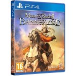 Mount and Blade 2 Bannerlord – Sleviste.cz