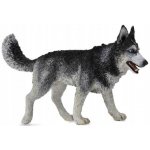Papo Husky sibiřský – Sleviste.cz