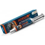 Horse Active Boost perorální pasta 20 g – Zboží Dáma