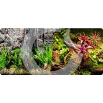 Macenauer Fototapeta 9 XL 150 x 60 cm – Zboží Dáma