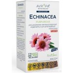 Avropa Echinacea purpurová 50 ml – Hledejceny.cz