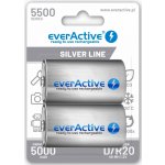 EverActive Silver Line D 5500 mAh 2ks EVHRL20-5500 – Zboží Živě