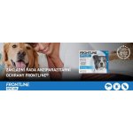 Frontline Spot-On Dog M 10-20 kg 3 x 1,34 ml – Hledejceny.cz