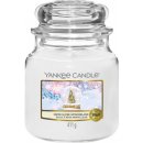 Yankee Candle Snow Globe Wonderland 411 g