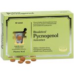 PHX Bioaktivní Pycnogenol 90 tablet – Hledejceny.cz