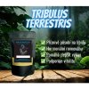 KratomHero Tribulus Terrestris s 90% saponinů 20 g