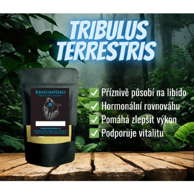 Tribulus Terrestris (Kotvičník zemní) s 90% saponinů - 20 g