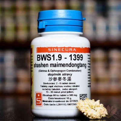 Sinecura BXL 1.9 huaihuasan 60 tablet – Hledejceny.cz