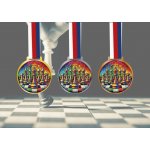 Akrylátová medaile Šachy Zlatá – Hledejceny.cz
