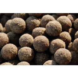 LK Baits Boilies Fish Activ 250ml 20mm Mussel