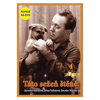 Táto sežeň štěně DVD – Hledejceny.cz