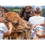 Celodenní vstup do Farmaparku Soběhrdy – Hledejceny.cz