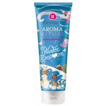 Dermacol Aroma Ritual Winter Dream sprchový gel 250 ml – Hledejceny.cz