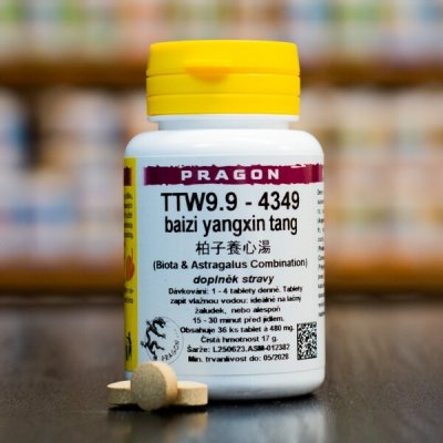 Pragon TTW9.9 baizi yangxin tang 36 tablet – Hledejceny.cz