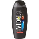 Vidal Energy & Sport sprchový gel 250 ml