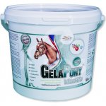 Orling Gelapony Vitamin 1,8 kg – Hledejceny.cz