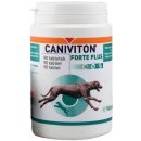 VETOQUINOL Caniviton forte plus 90 tbl