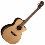 Washburn Comfort G20SCE – Sleviste.cz