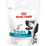 Royal Canin VHN Dog Hypoallergenic Treats 230 g – Zbozi.Blesk.cz