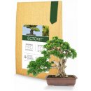 Symbiom Rhodovit Bonsai - 100 g