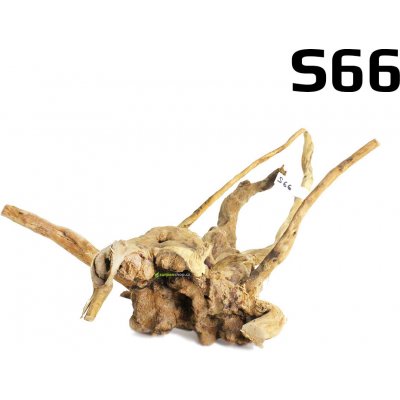 Surpanshop.cz kořen Finger Wood S66 29 cm – Sleviste.cz