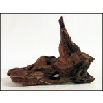 Decor Wood Kořen DriftWood Bulk SS 19-23 cm – Hledejceny.cz