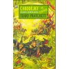 Kniha Čarodějky na cestách - Úžasná Zeměplocha 12 - Terry Pratchett