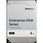 Synology HAT5300 4TB, HAT5320-4T – Zboží Živě