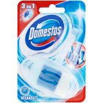Domestos WC blok Atlantic 40 g – HobbyKompas.cz