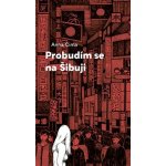 Probudím se na Šibuji - Anna Cima