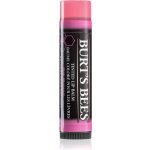 Burt´s Bees Tinted Lip Balm balzám na rty Pink Blossom 4,25 g – Zboží Dáma