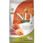 N&D Pumpkin Dog Adult Mini Grain Free Boar & Apple 2,5 kg – Zboží Mobilmania