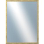 DANTIK DEFINO 60x80 cm zlatá 2898 – Hledejceny.cz