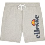 Ellesse BOSSINI – Hledejceny.cz