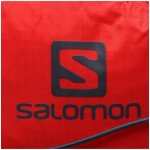 Salomon Active Skin with flasks LC1909600 8l fiery red ebony – Hledejceny.cz