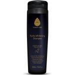 Hydra Vybělovací šampon 300 ml – Hledejceny.cz