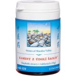 TCM Herbs Kameny z údolí Šaolin 100 tablet – Hledejceny.cz
