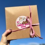 Aniland LADIES BOX pro králíky a hlodavce – Zboží Dáma