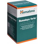 Himalaya Rumalaya Forte 60 tablet – Hledejceny.cz
