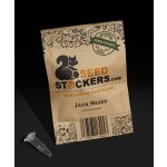 Seedstockers Jack Herer semena neobsahují THC 3 ks – Sleviste.cz