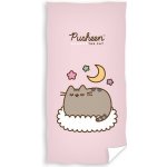 Carbotex Dětská osuška 70 x 140 cm Kočička Pusheen Stay Cool – Hledejceny.cz