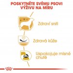 Royal Canin West Highland White Terrier Adult 0,5 kg – Zboží Mobilmania