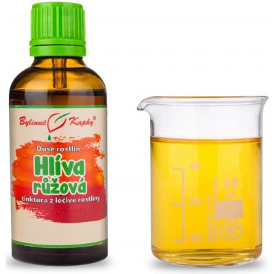 Bylinné kapky Hlíva růžová Bylinné kapky tinktura Duše rostlin 50 ml – Hledejceny.cz