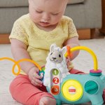 Fisher-Price Linkimals mluvící lama CZ HNM94 – Hledejceny.cz