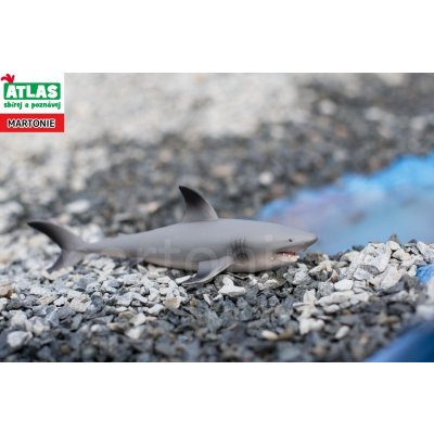 Atlas C Žralok – Zboží Mobilmania