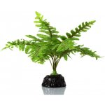 Repti Zoo kapradina 22 cm – Zboží Dáma