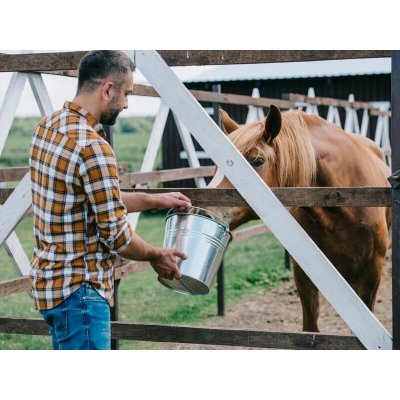 Farmářem na zkoušku aneb den s koňmi – Zboží Dáma
