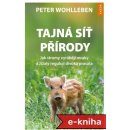 Tajná síť přírody - Peter Wohlleben