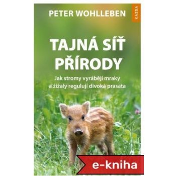 Tajná síť přírody - Peter Wohlleben